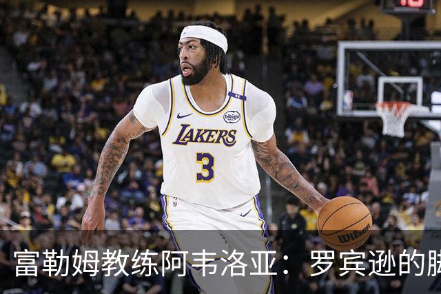 富勒姆教练阿韦洛亚：罗宾逊的脚踝伤势尚待观察